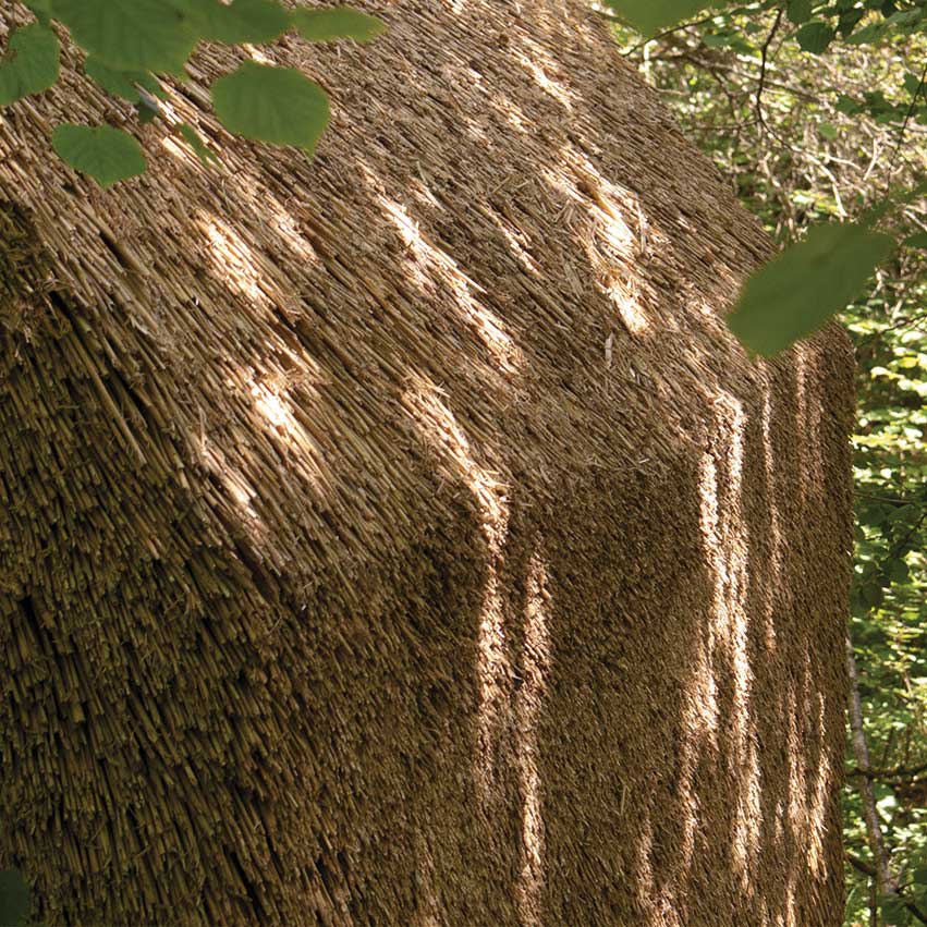 Cabane dans les bois, Réserve naturelle du bout du lac d'Annecy, Doussard