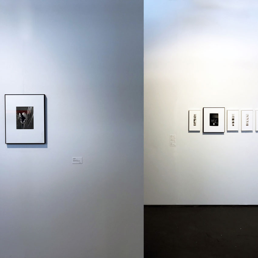 Galerie Sage 2018, PhotoFairs San Francisco